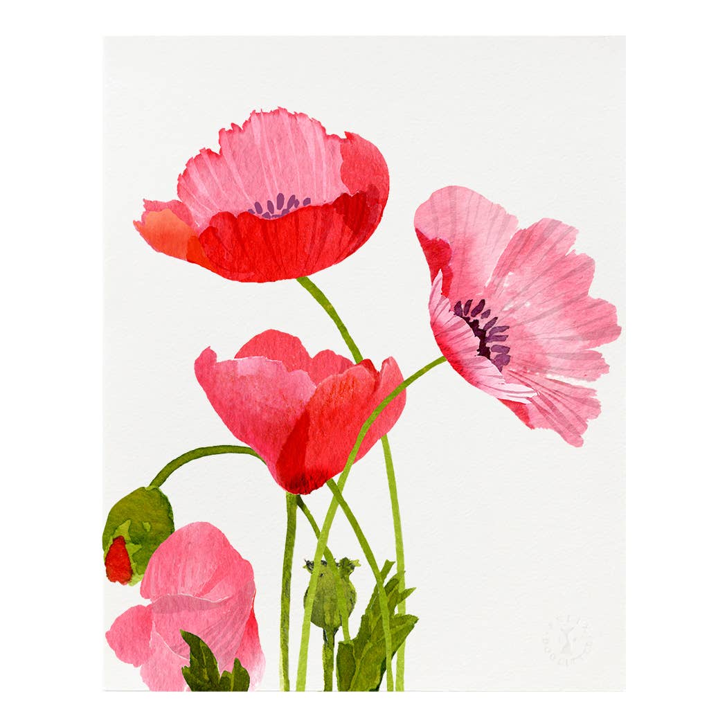 Pink Poppies - Art Print - 8x10