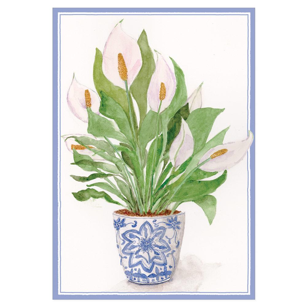 peace lily painting Peace Lily Sympathy – Merrymaker Fine Paper