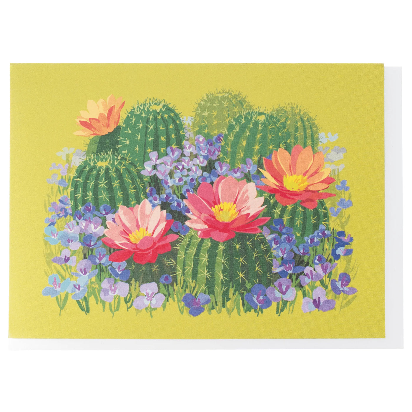 Pink Cactus Blossom Boxed Note Cards