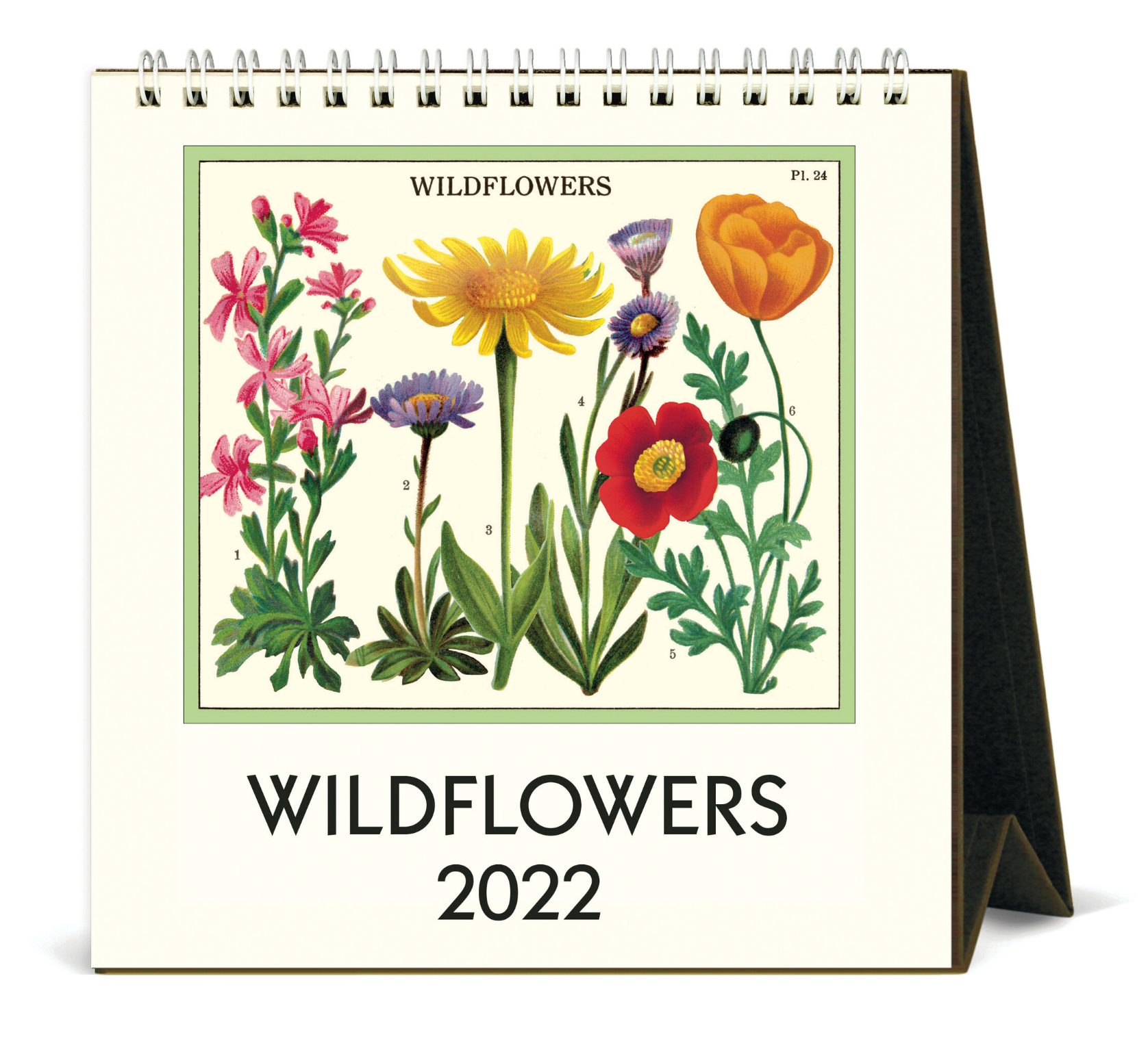Cavallini Desk Calendar Merrymaker Fine Paper