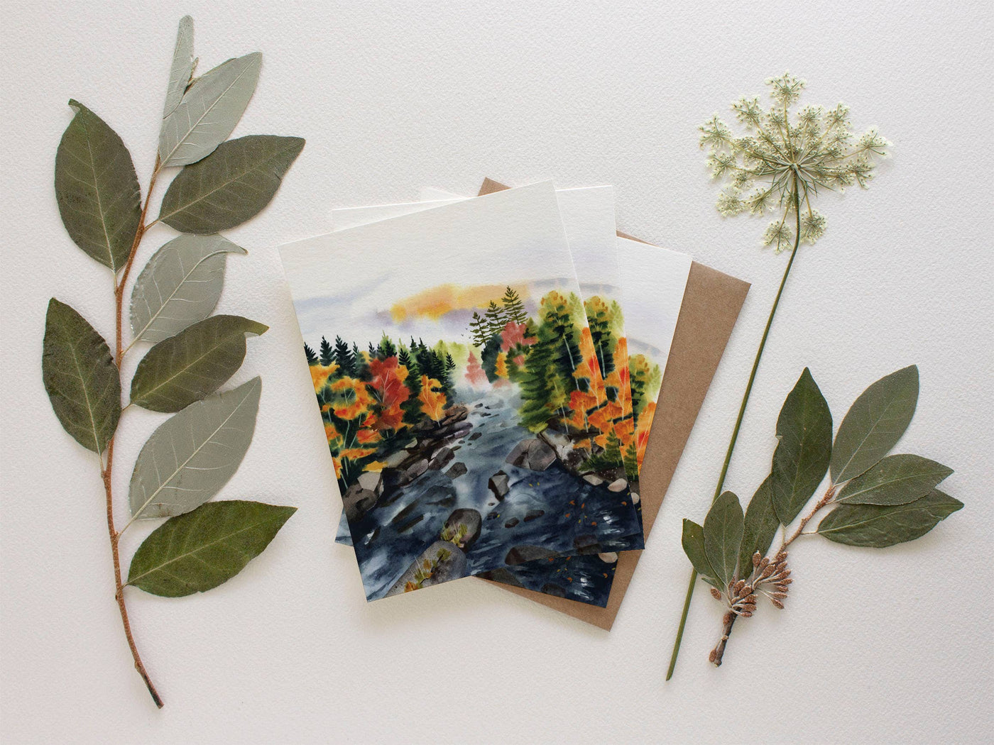 River's Edge Greeting Card