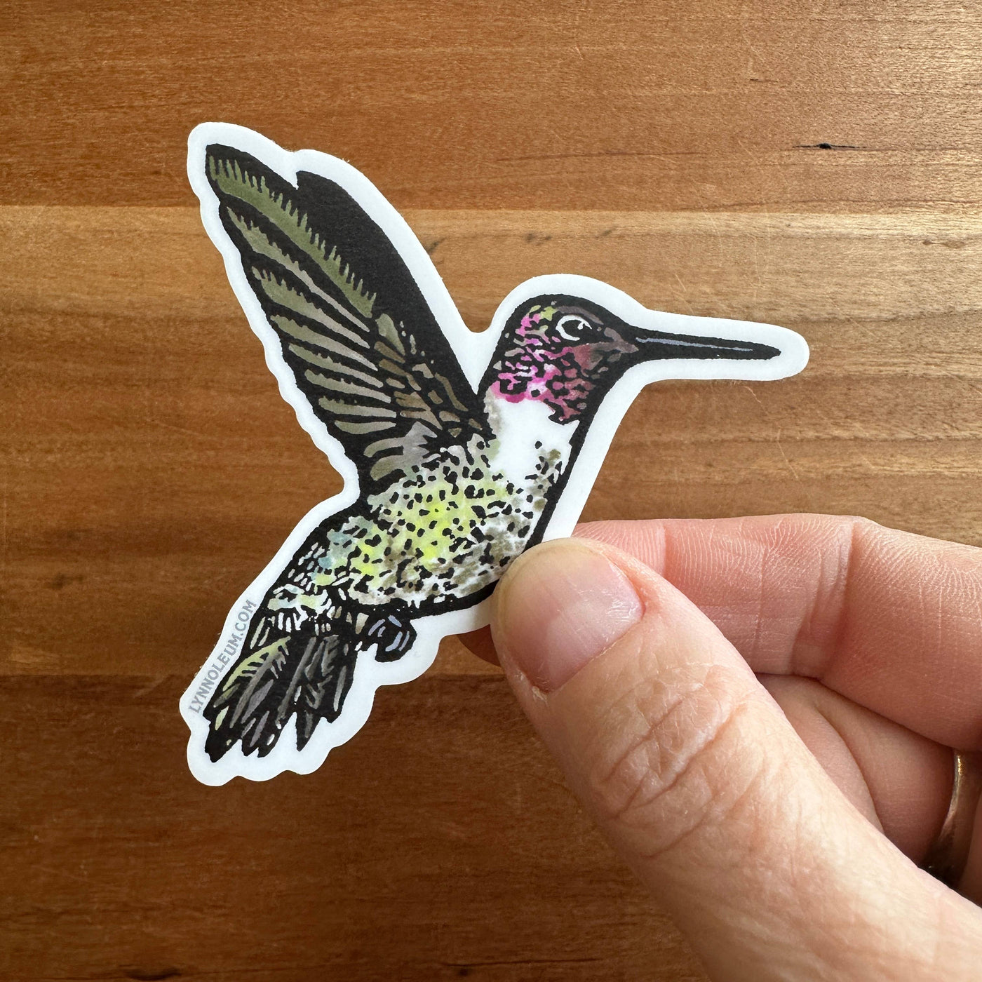 Anna’s Hummingbird Vinyl Sticker