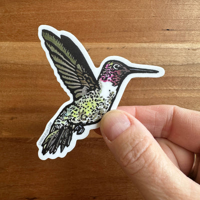 Anna’s Hummingbird Vinyl Sticker