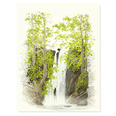 Falls