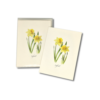 Daffodils