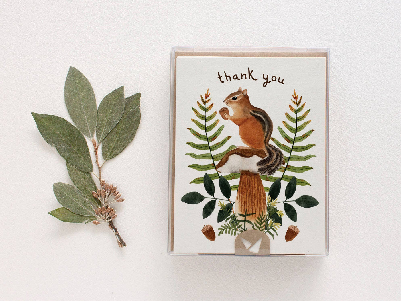 Chipmunk Thanks Greeting Card - Box Set of Eight