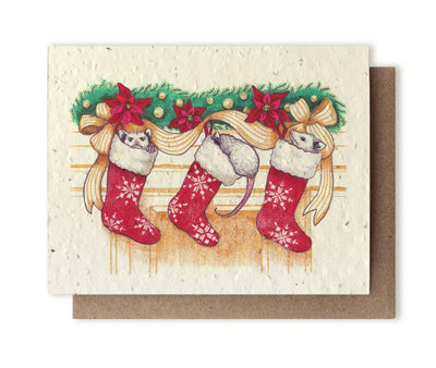 Opossum Stockings Plantable Wildflower Seed Card