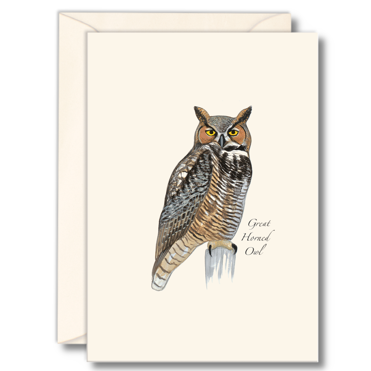 Great Horned Owl