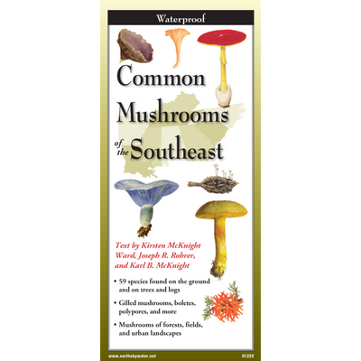 Common Mushrooms of the Southeast