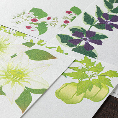 Summer Flower Letter Paper