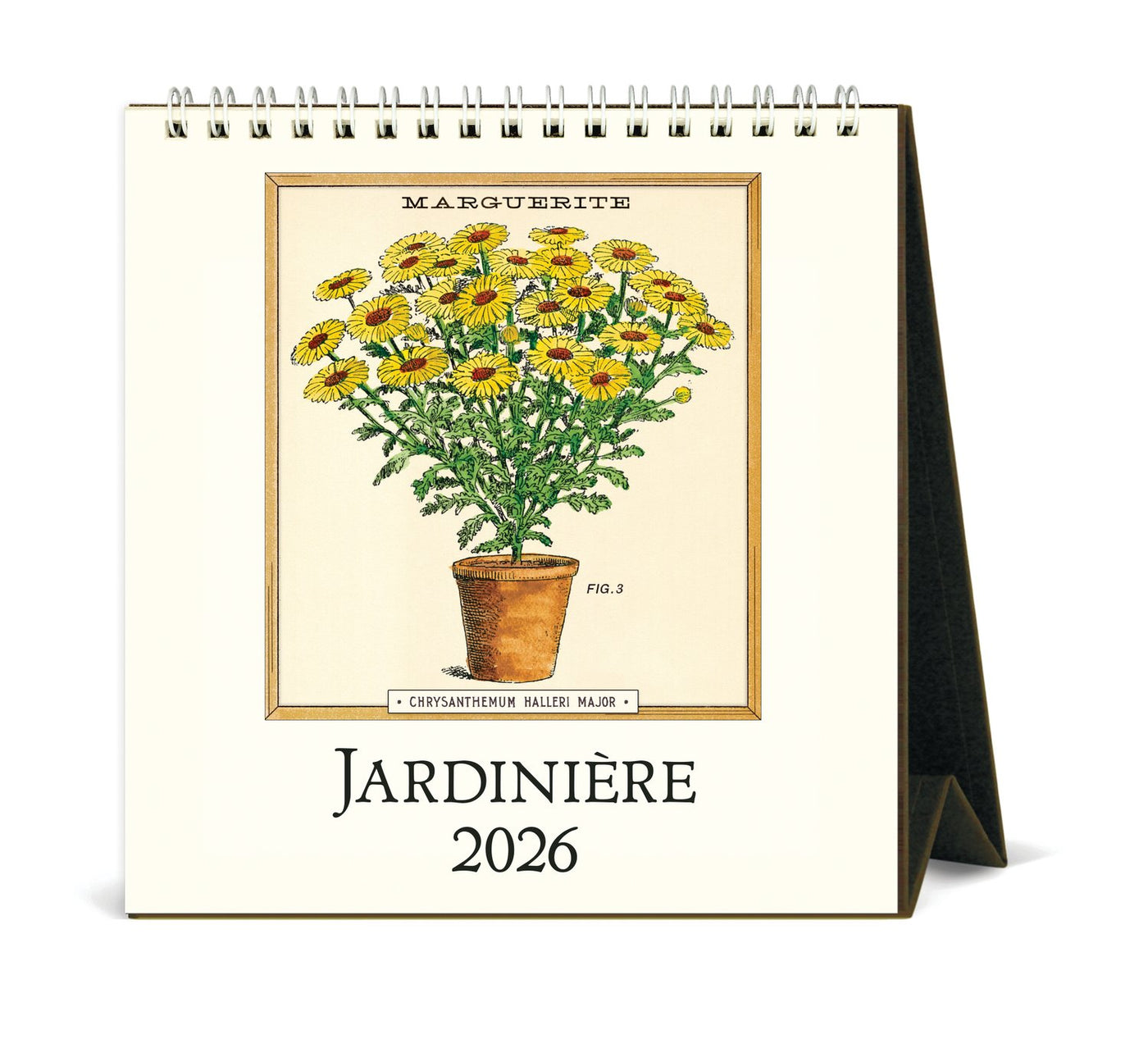 Cavallini 2026 Desk Calendar