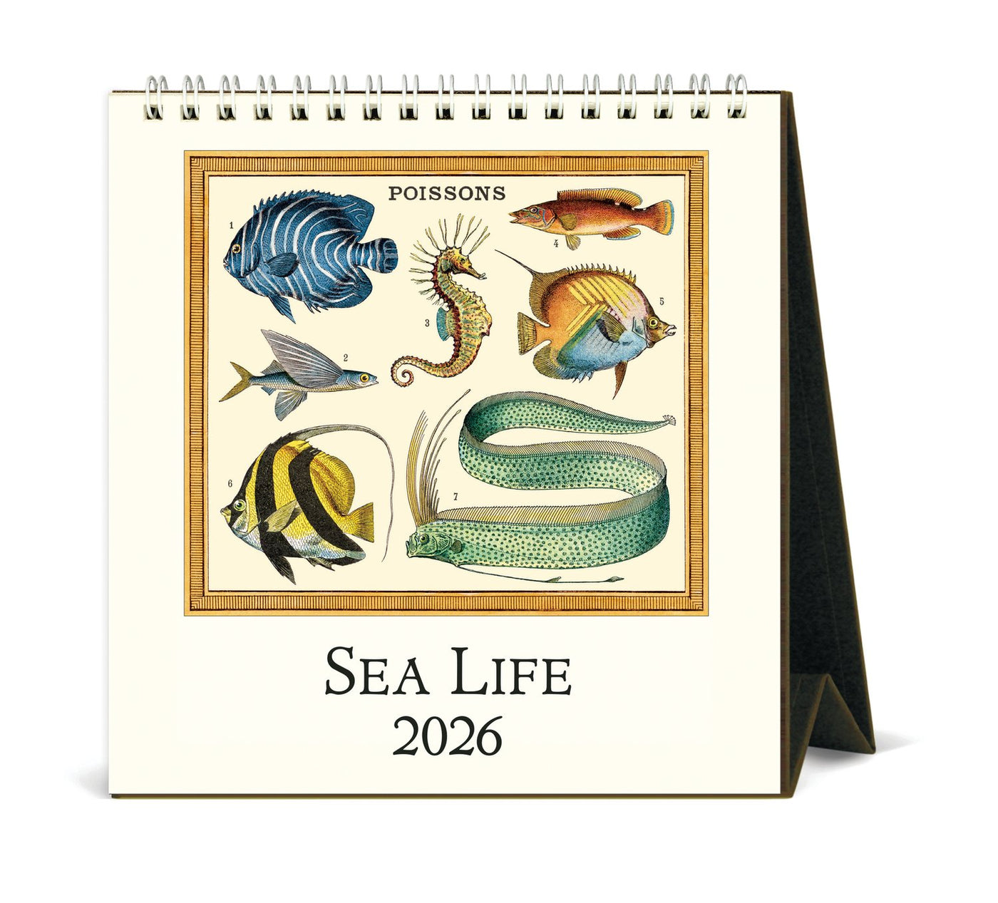 Cavallini 2026 Desk Calendar