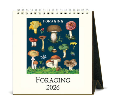 Cavallini 2026 Desk Calendar