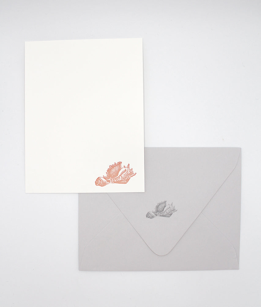 Seashells Flat Card Pack