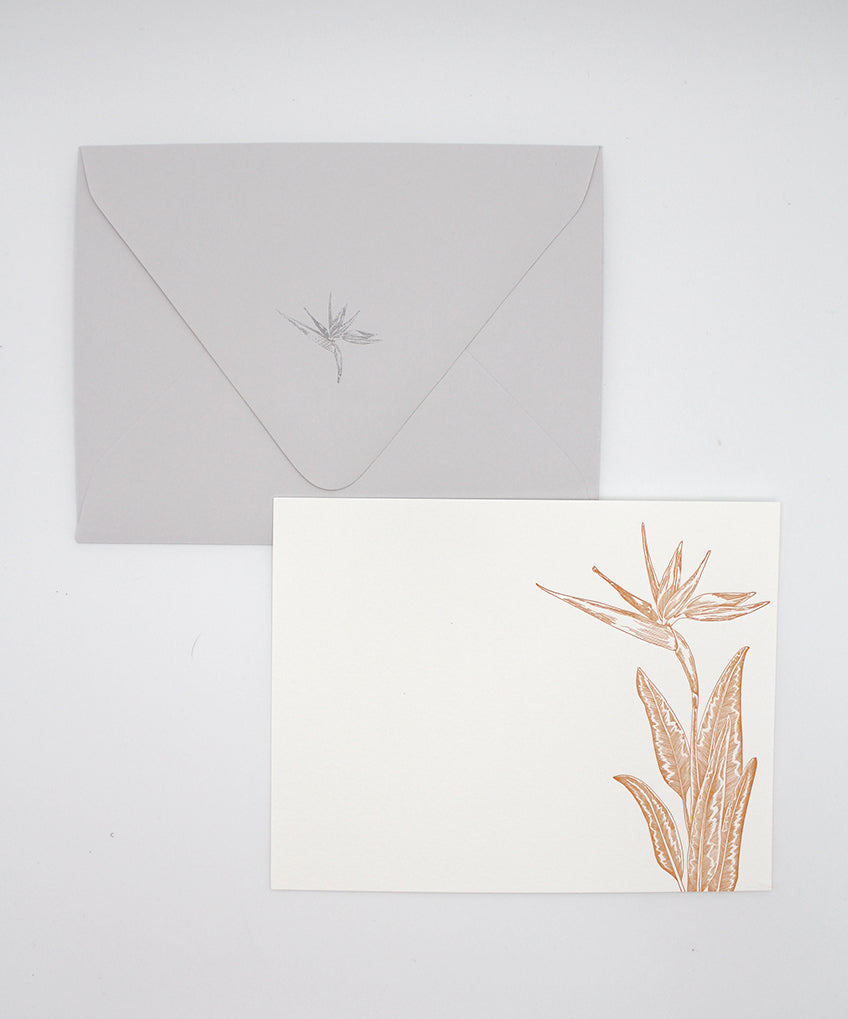 Bird of Paradise Flat Card Pack