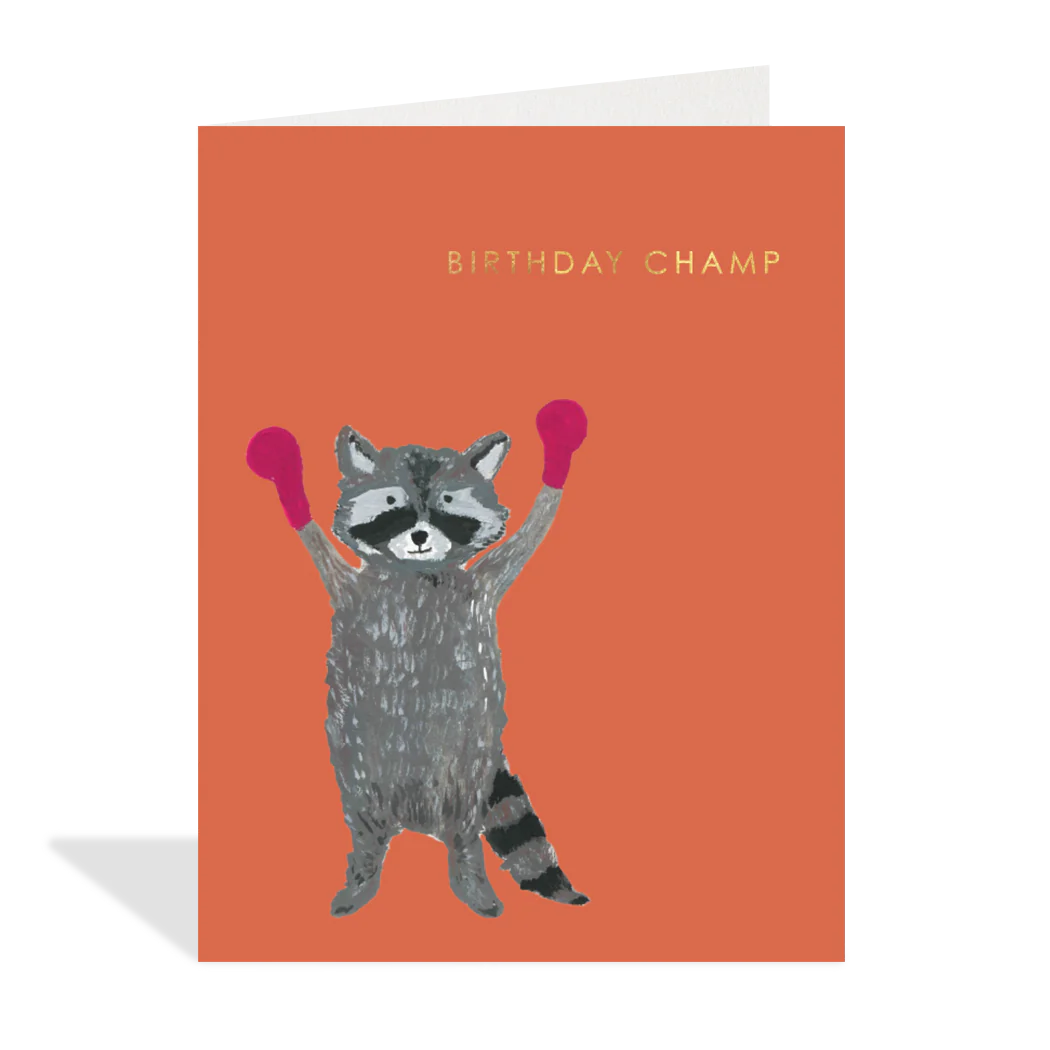 Birthday Boxing Raccoon