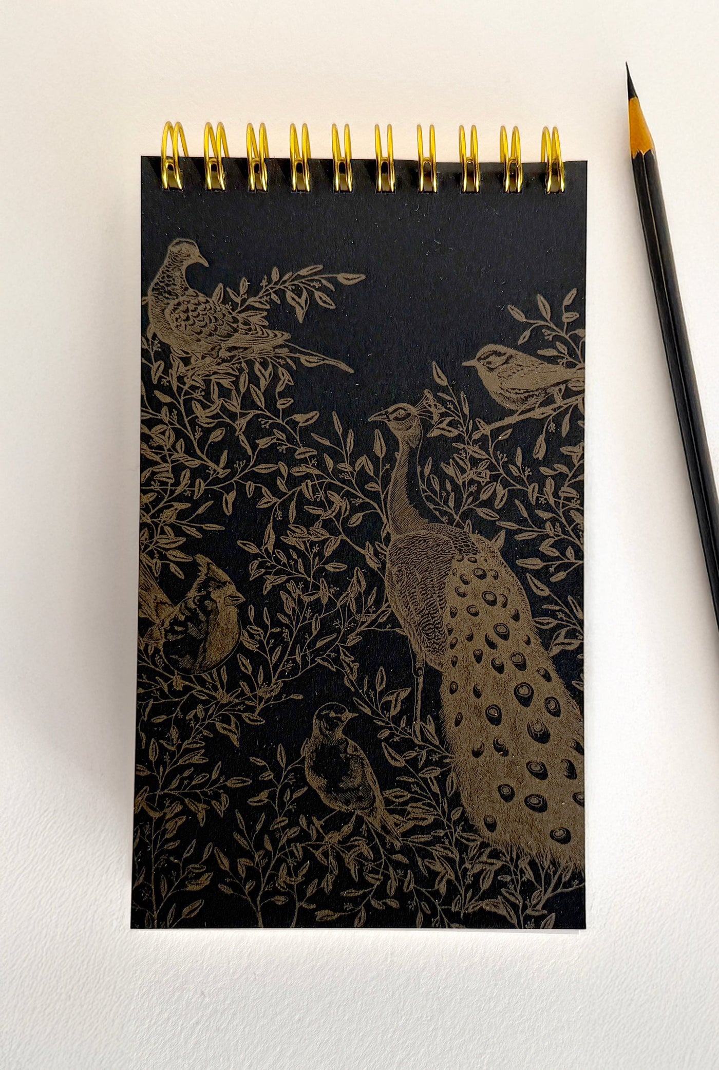 Birds Jotter