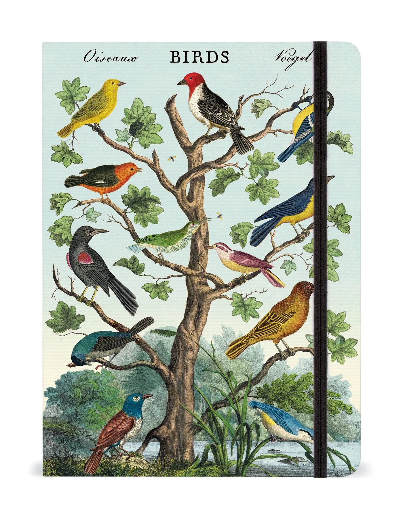 Cavallini Notebooks Large