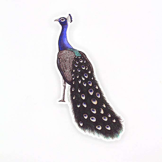 Peacock Sticker