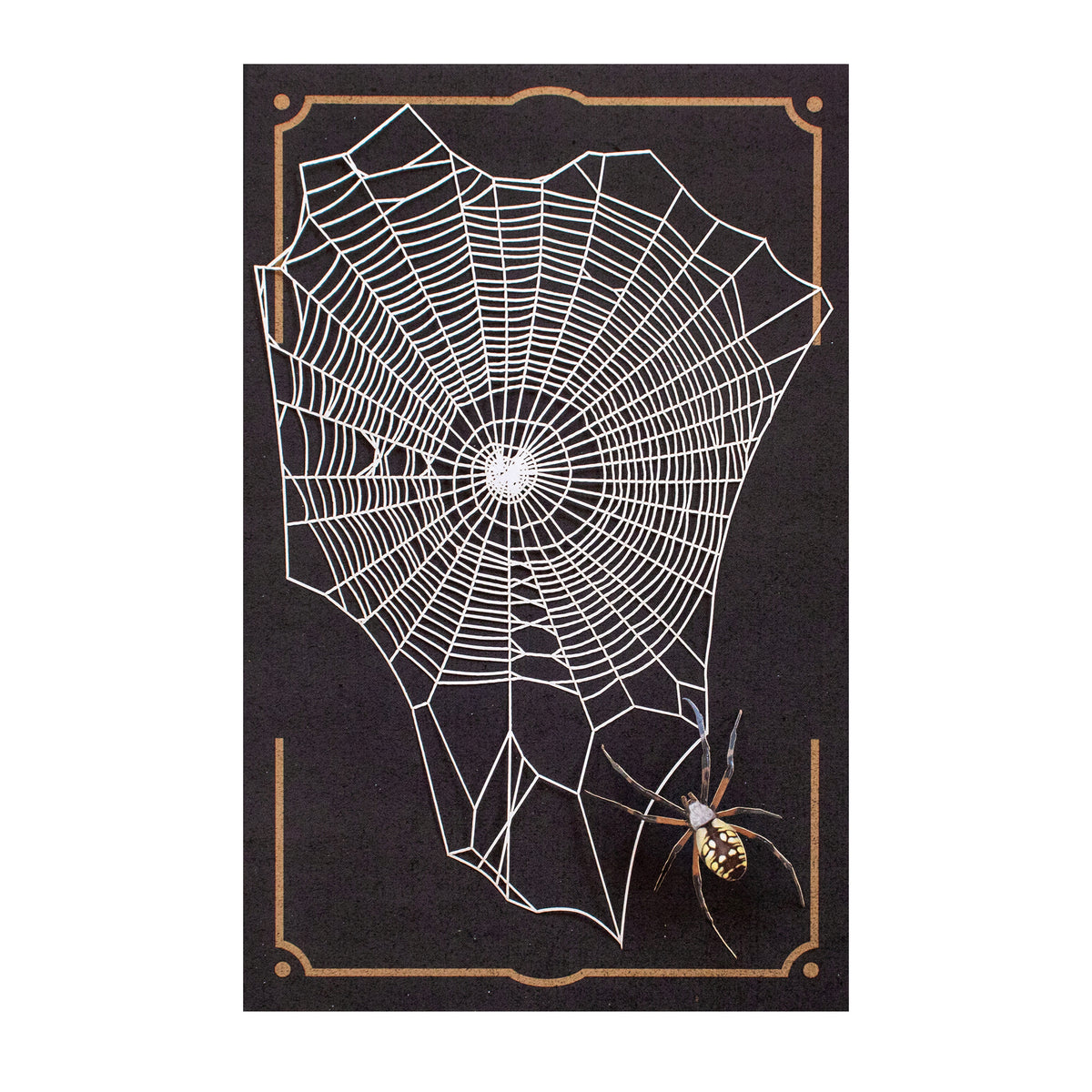 Weaver Spiderweb & Spider Set