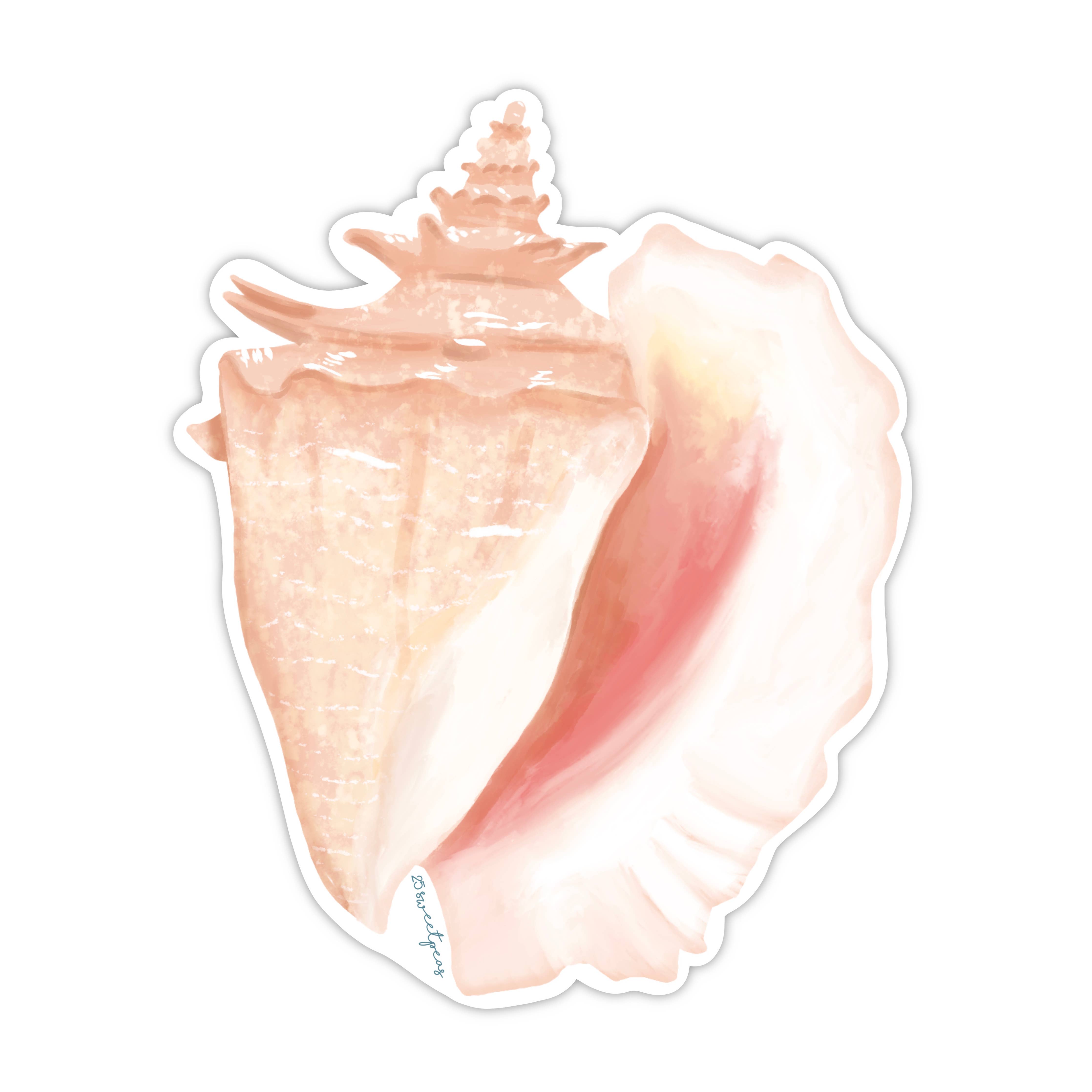 Queen Conch – Merrymaker Fine Paper
