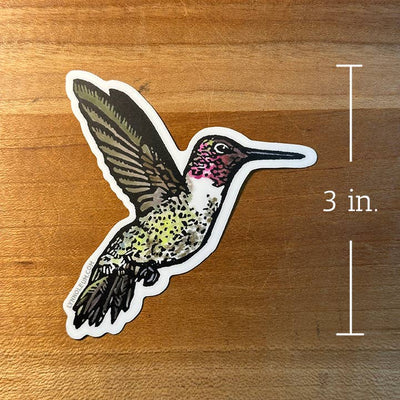 Anna’s Hummingbird Vinyl Sticker