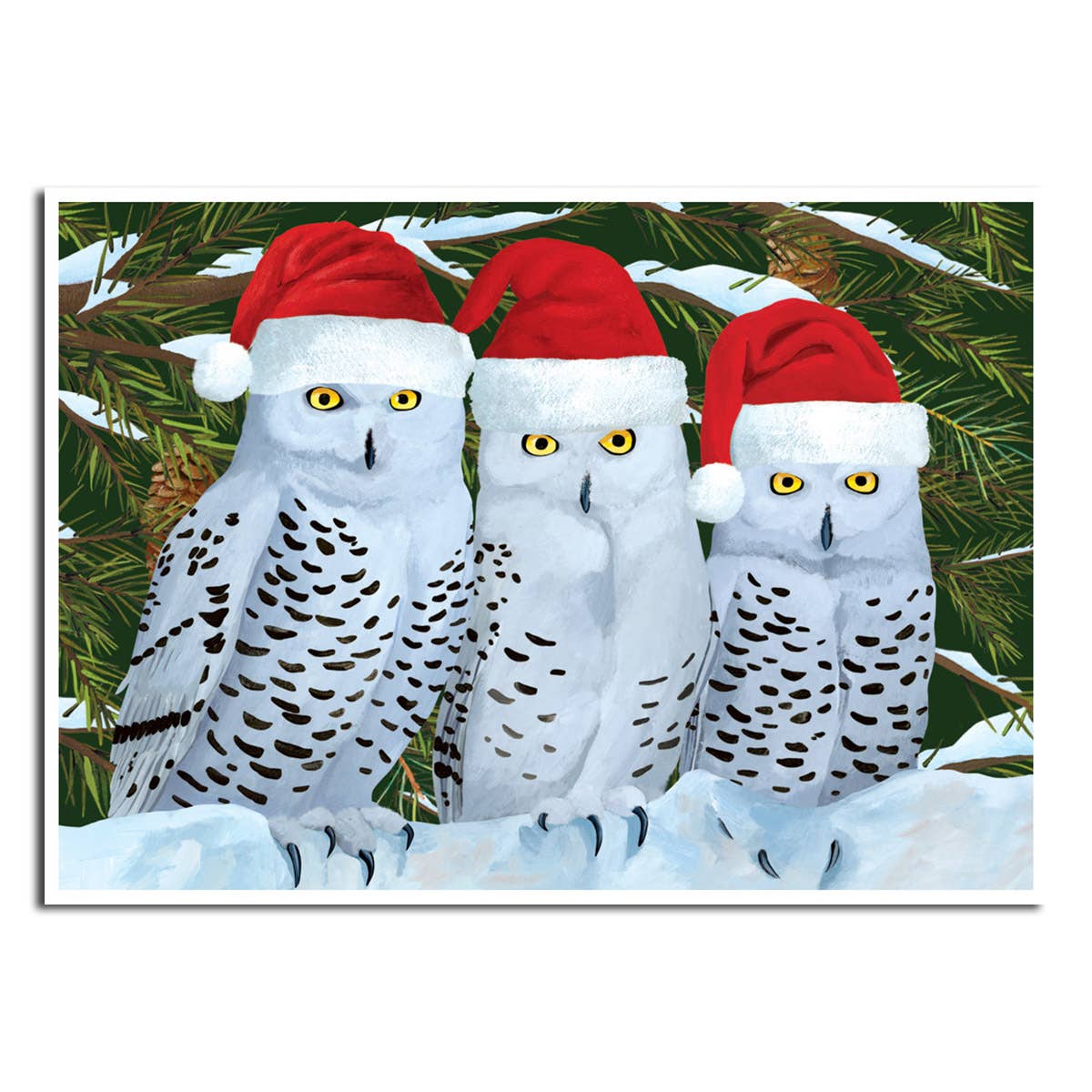 Three Owls Family Holiday Card