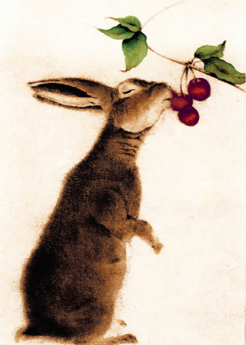 Rabbit & Cherries