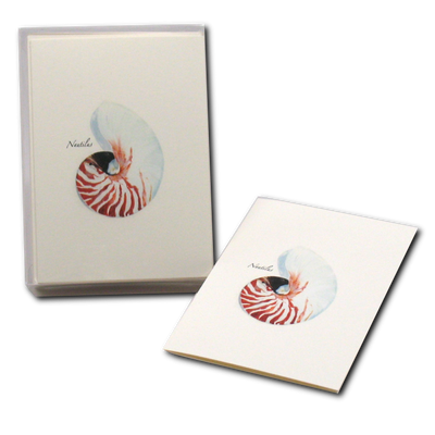 Nautilus