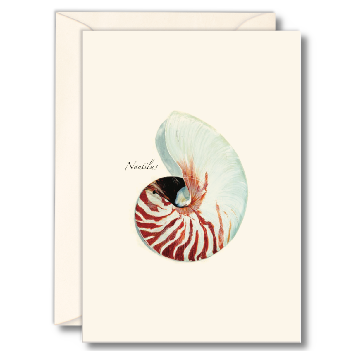 Nautilus