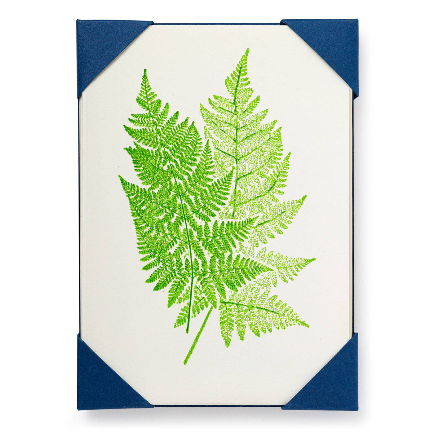 Fern | Notelet Card (5-Pack)