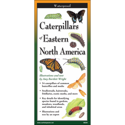 Caterpillars of Eastern North America