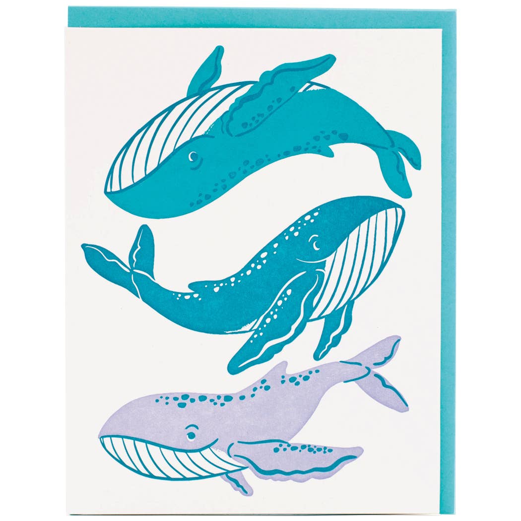 Whale Whale Whale Greeting Card