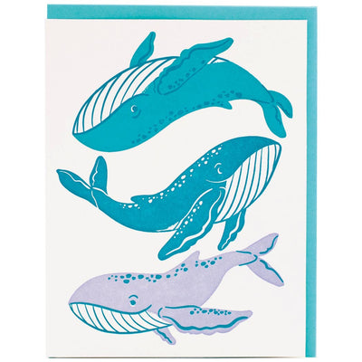 Whale Whale Whale Greeting Card