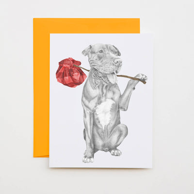 Mac Ar Aghaidh Linn Pit Bull Terrier Note Card