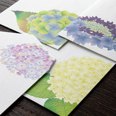 Midori Seasonal Envelopes - 166 Four Designs Hydrangea