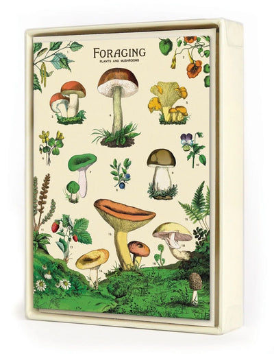 Foraging Boxed Note Cards