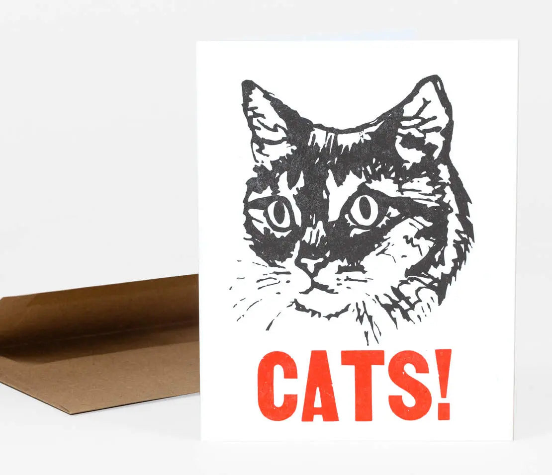 Cats!