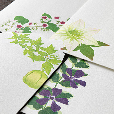 Midori Seasonal Envelopes - 170 Four Designs Summer Flower
