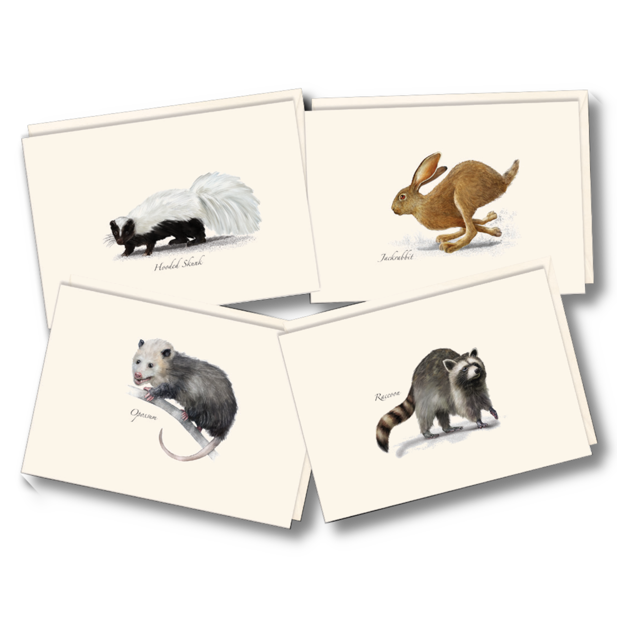 Small Mammal Assortment