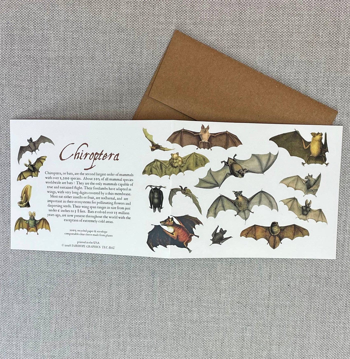 Bats Card