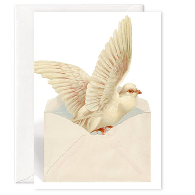 "Dove" A7 greeting card: Recycled white envelopes