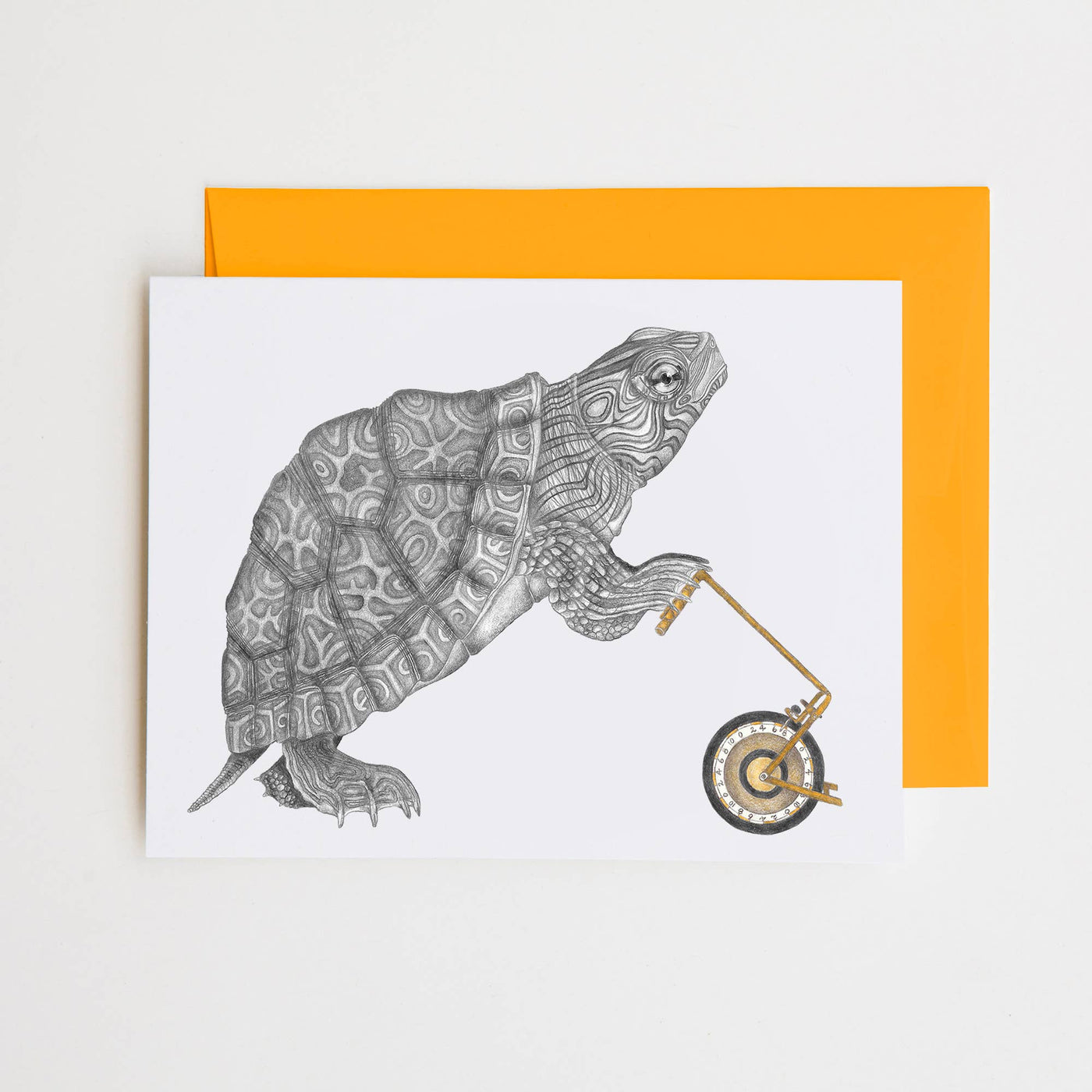 Muldoon Parker Common Map Turtle Note Card