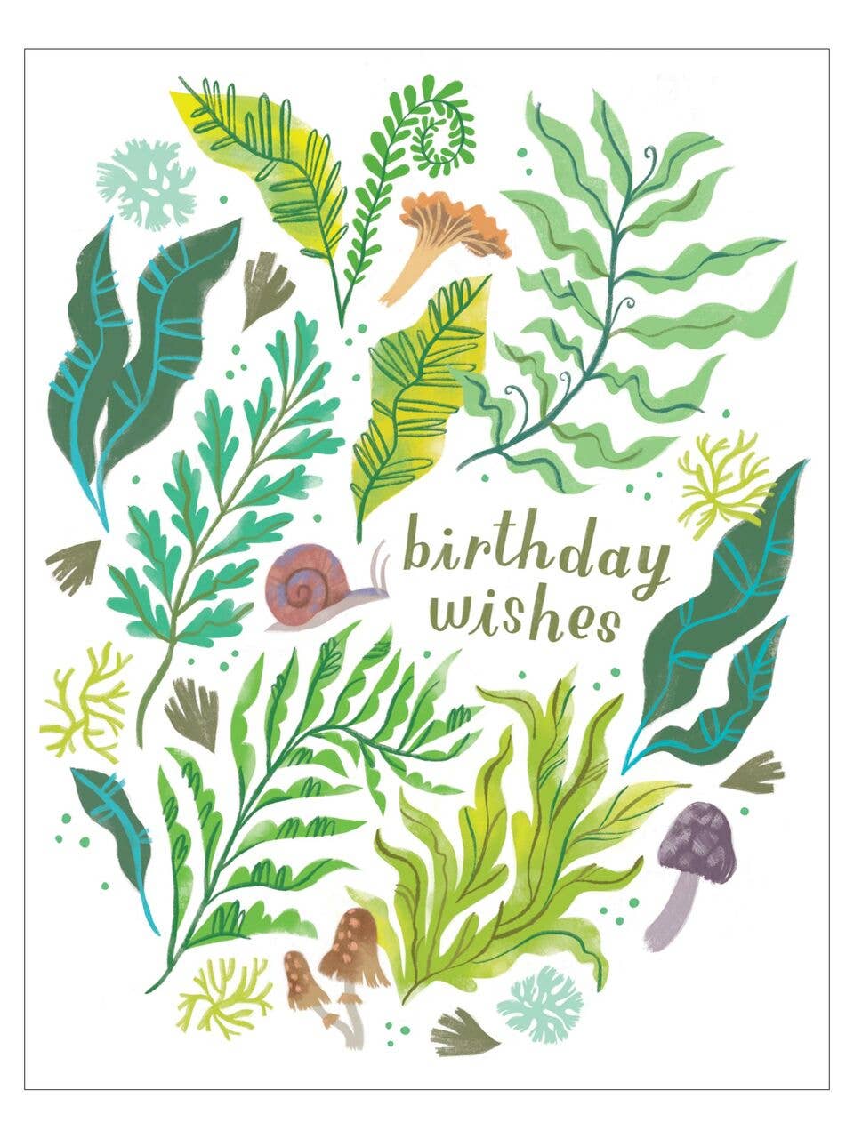 Ferns Birthday Card