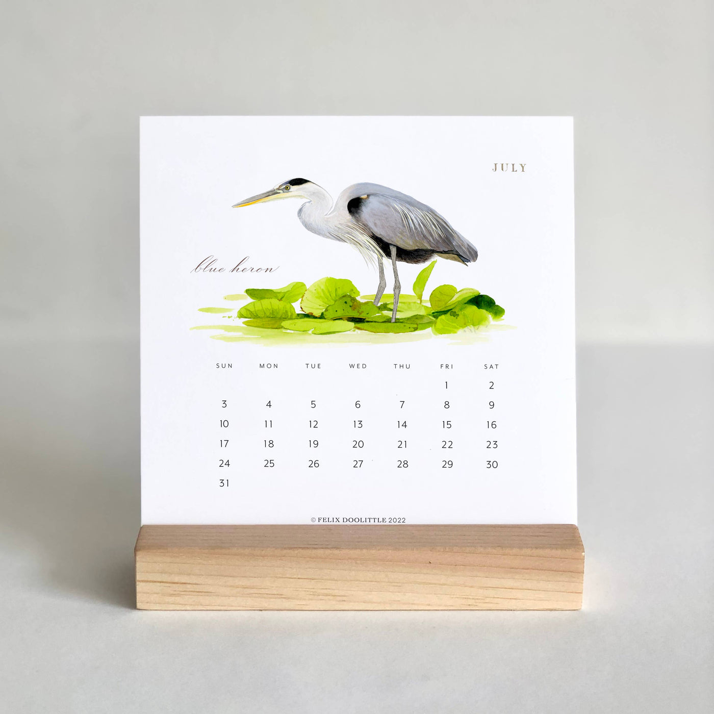 2022 Desk Calendar - Birding