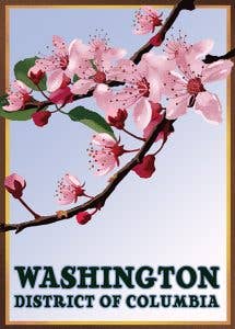 Washington DC Blossoms Luggage Tag