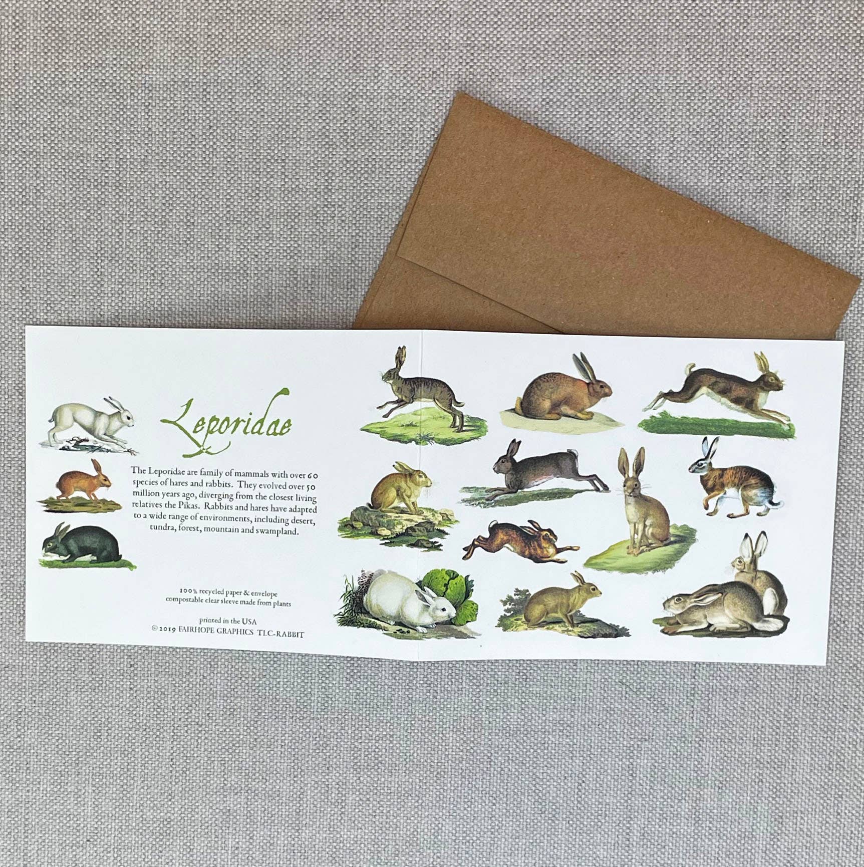 Rabbits Card – Merrymaker Fine Paper