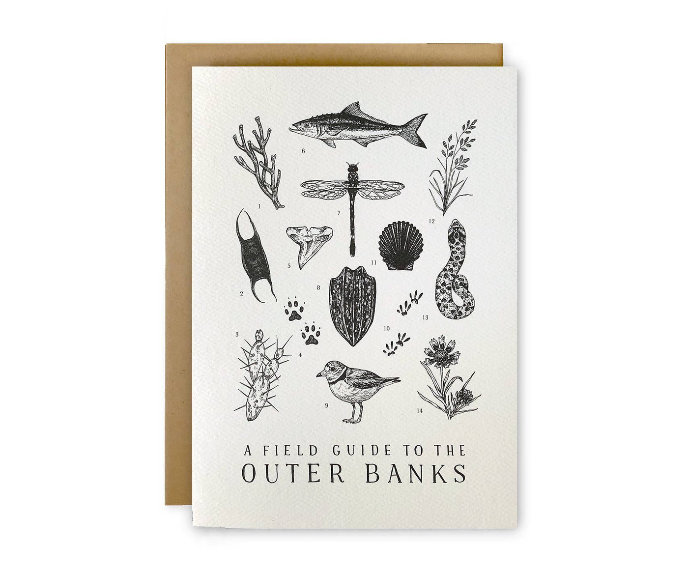 Outer Banks Field Guide Greeting Card