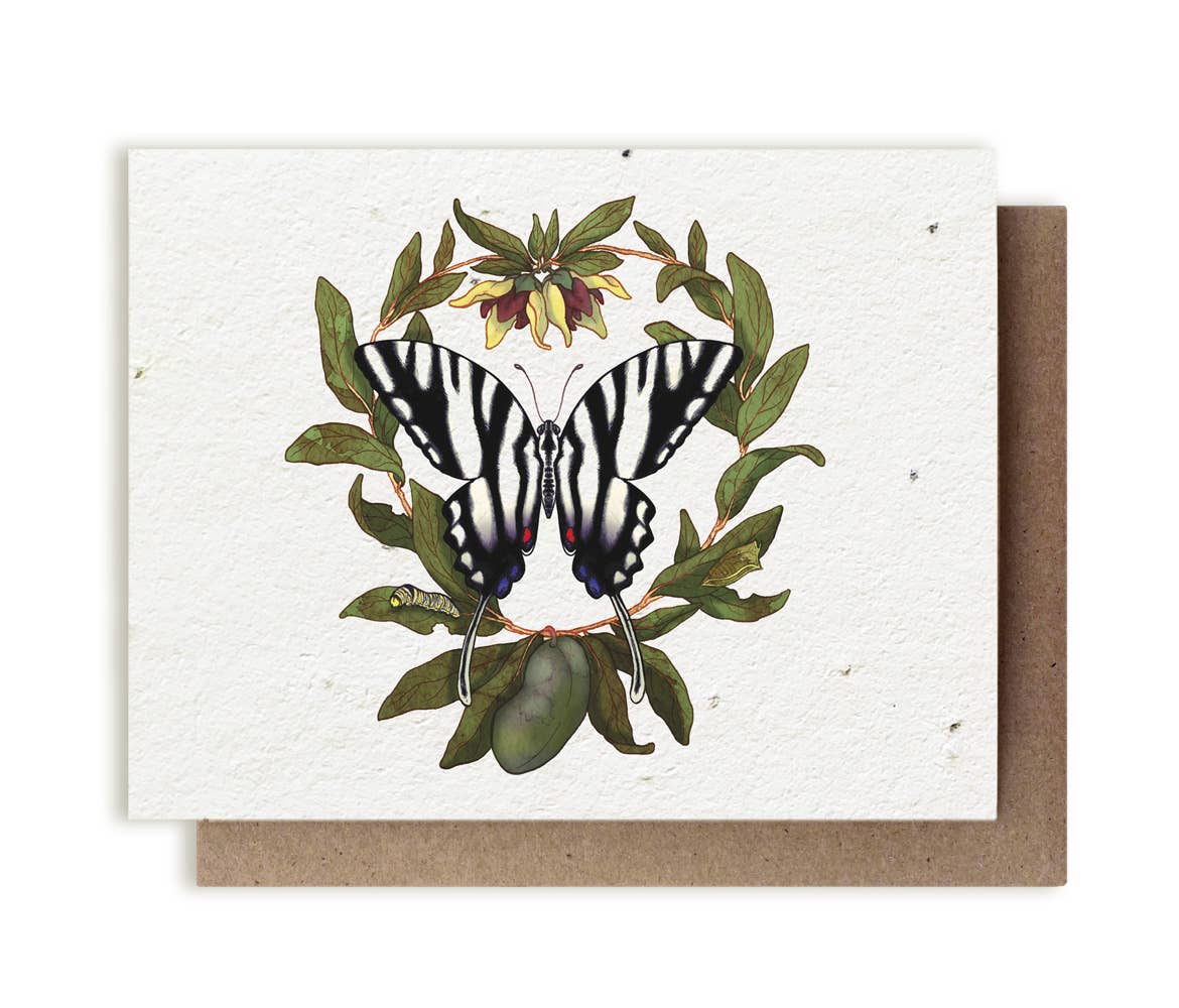 Zebra Swallowtail Butterfly & PawPaw Plantable Herb Card: No Sleeves