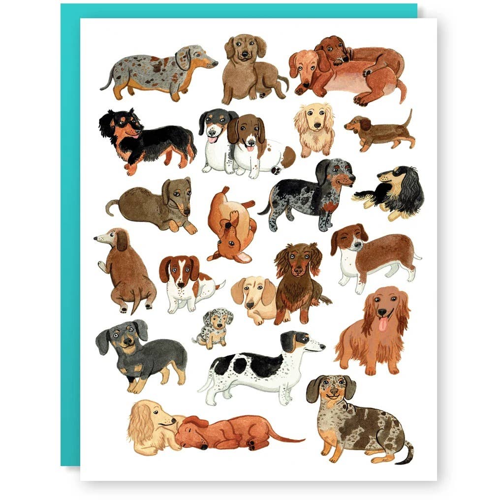 Dachshund Dudes